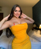 Delhi Call Girl 9958659377′ High Profile Escort in Malviya Nagar