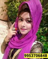 Low rate←Call girls in Karol Bagh⇲9953706848⫽ Female Escorts Service